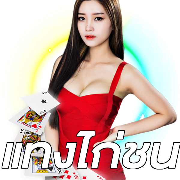 แทงไก่ชน